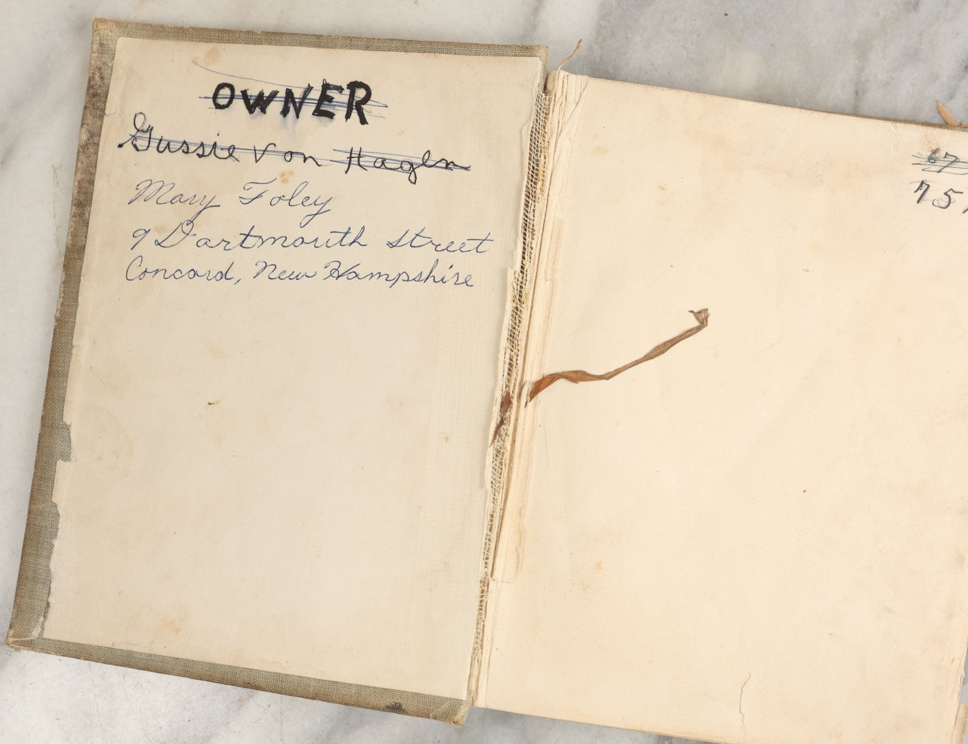 Lot 036 - "Wood's Natural History: Illustrated Natural History (Animals And Birds)" Antique Book By Rev J.G. Wood, With Illustrations, Many In Color, Published By Gilbert H. Mckibbin, New York, 1899