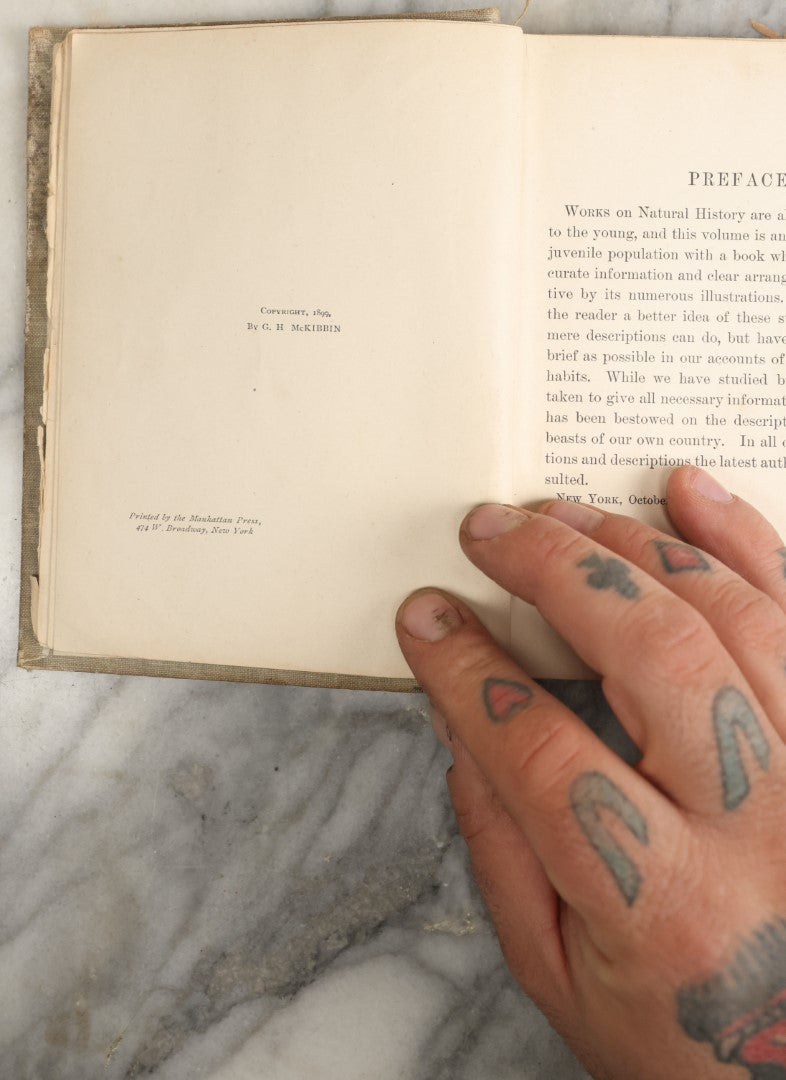 Lot 036 - "Wood's Natural History: Illustrated Natural History (Animals And Birds)" Antique Book By Rev J.G. Wood, With Illustrations, Many In Color, Published By Gilbert H. Mckibbin, New York, 1899