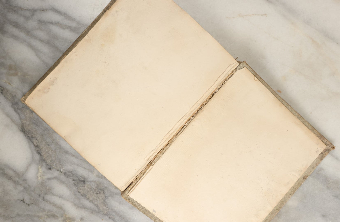 Lot 036 - "Wood's Natural History: Illustrated Natural History (Animals And Birds)" Antique Book By Rev J.G. Wood, With Illustrations, Many In Color, Published By Gilbert H. Mckibbin, New York, 1899