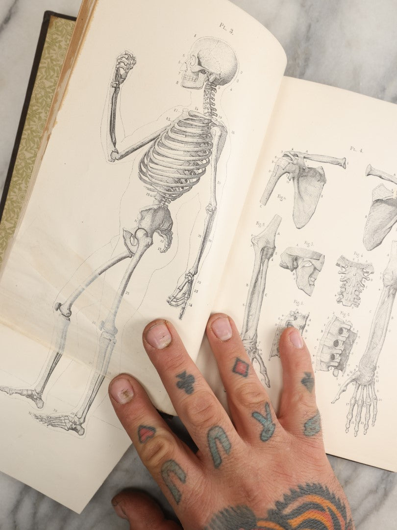 Lot 037 - "Anatomy In Art: A Practical Text Book In The Study Of The Human Form" Antique Book By Jonathan Scott Hartley, Fully Illustrated With Fold Out Diagrams, Skeletons And More, 1891