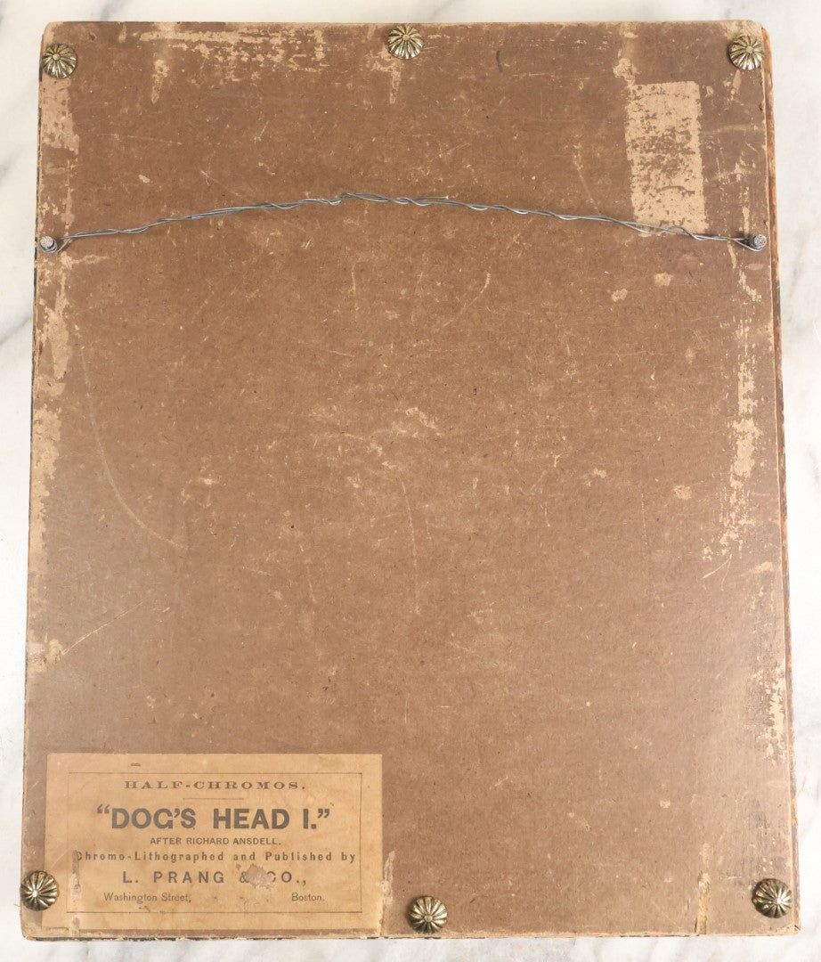 Lot 056 - Antique Chromolithograph Print," Dog's Head I" Published By L. Prang And Co., Boston, In Frame, No Glass