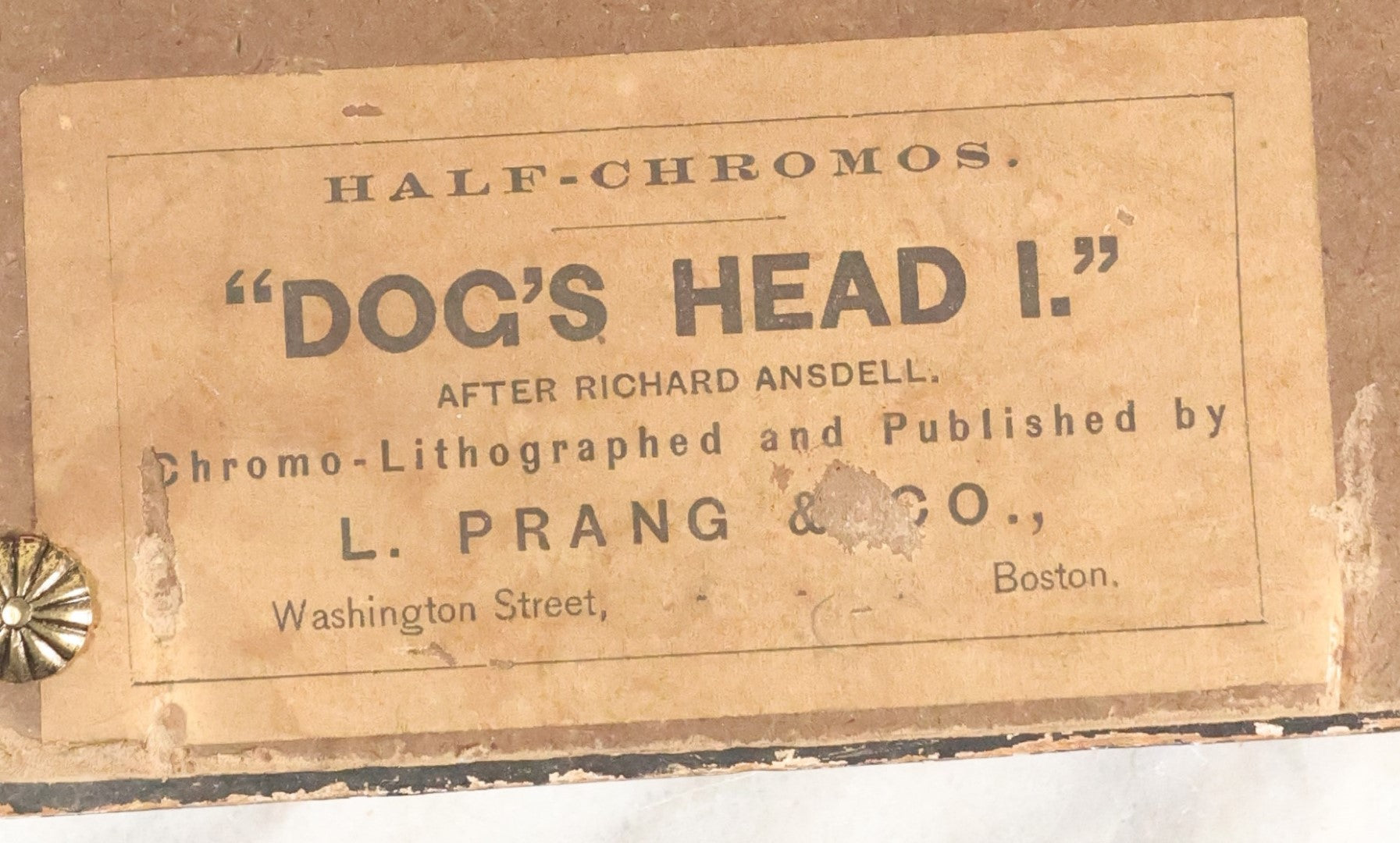 Lot 056 - Antique Chromolithograph Print," Dog's Head I" Published By L. Prang And Co., Boston, In Frame, No Glass