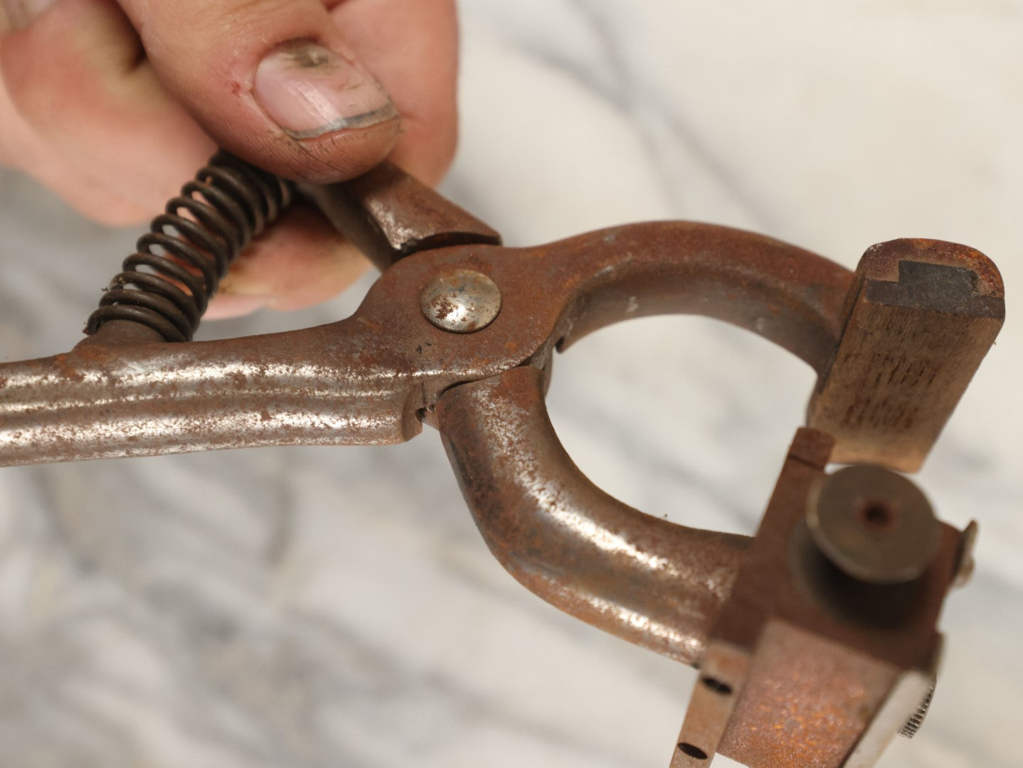 Lot 083 - Vintage Metal Cattle I.D. Tattoo Outfit, Ear Stamper, Brander, By O.M. Franklin Serum Co.