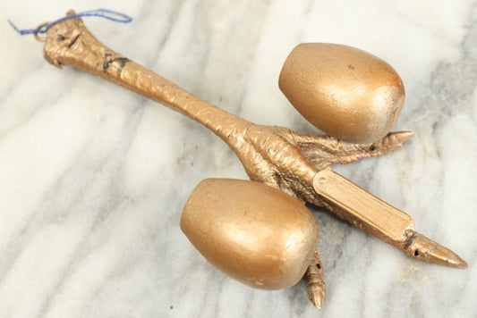 Lot 088 - Antique Real Taxidermy Chicken Foot Wall Hanging Match Safe And Match Strike With Claw