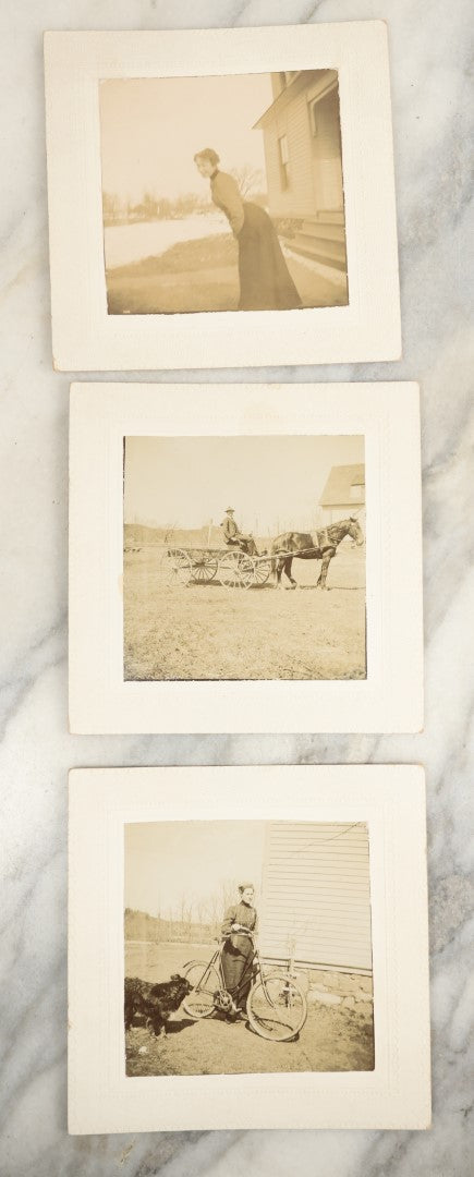 Lot 124 - Grouping Of Three Small Square Antique Boarded Photographs Including A Woman With Her Bike And Her Dog And A Man On A Horse Drawn Wagon Marked "Wilcox & Co."