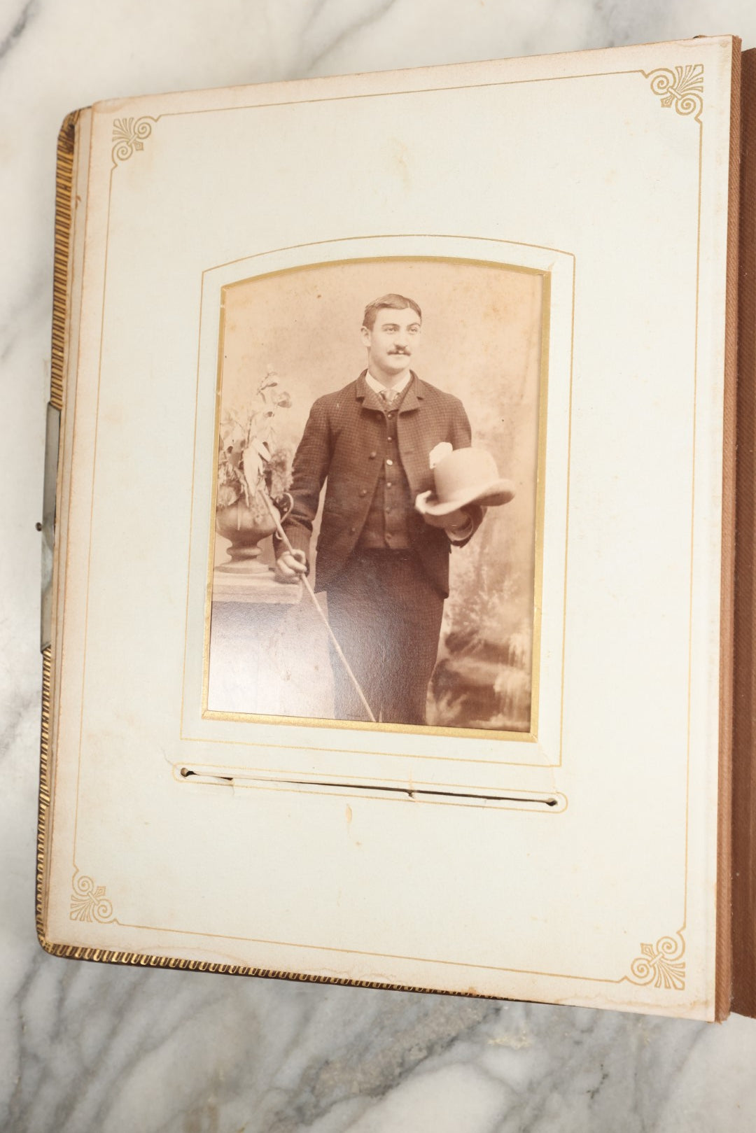 Lot 148 - Antique Cabinet Card Photo Album With Woman And Birds On Cover, Containing 25 Cabinet Cards And 12 Carte De Visite C.D.V. Photographs (All Pages Included In Pictures)