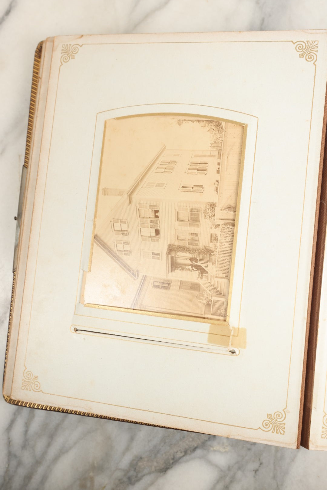 Lot 148 - Antique Cabinet Card Photo Album With Woman And Birds On Cover, Containing 25 Cabinet Cards And 12 Carte De Visite C.D.V. Photographs (All Pages Included In Pictures)