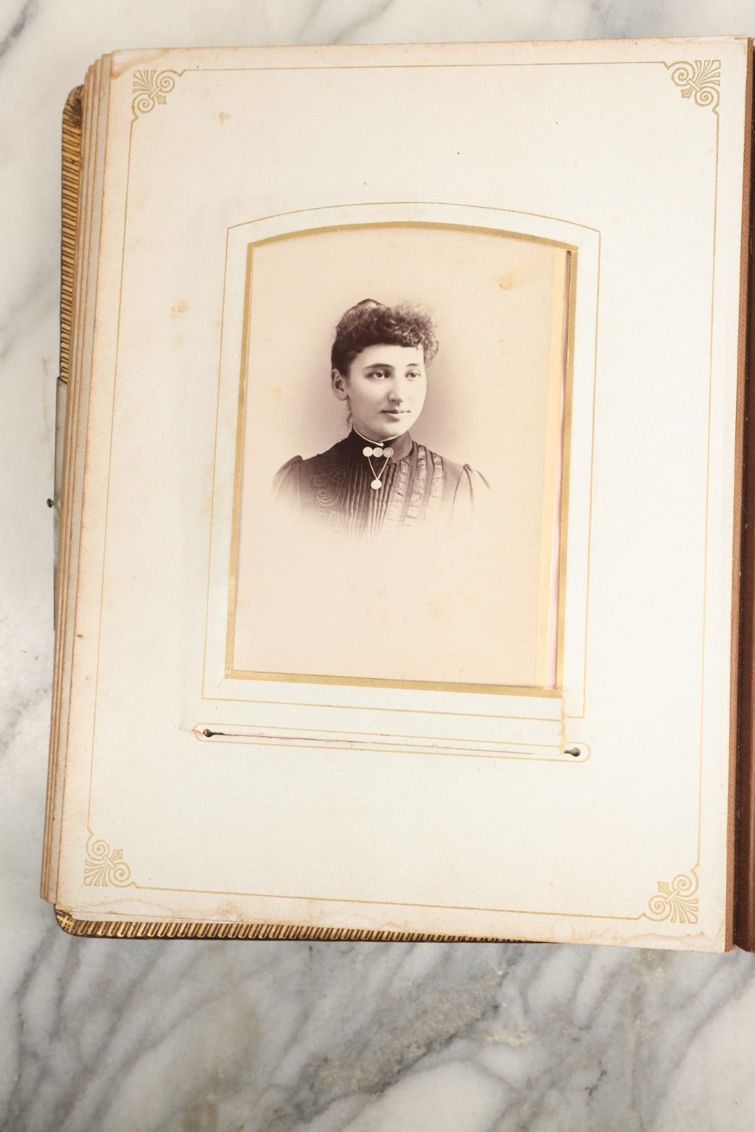 Lot 148 - Antique Cabinet Card Photo Album With Woman And Birds On Cover, Containing 25 Cabinet Cards And 12 Carte De Visite C.D.V. Photographs (All Pages Included In Pictures)