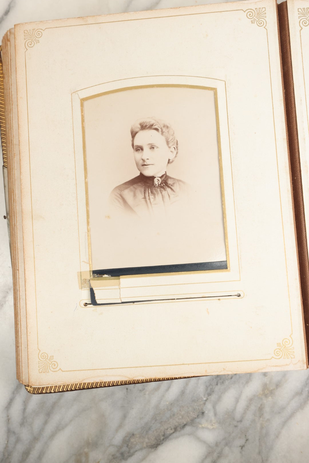 Lot 148 - Antique Cabinet Card Photo Album With Woman And Birds On Cover, Containing 25 Cabinet Cards And 12 Carte De Visite C.D.V. Photographs (All Pages Included In Pictures)