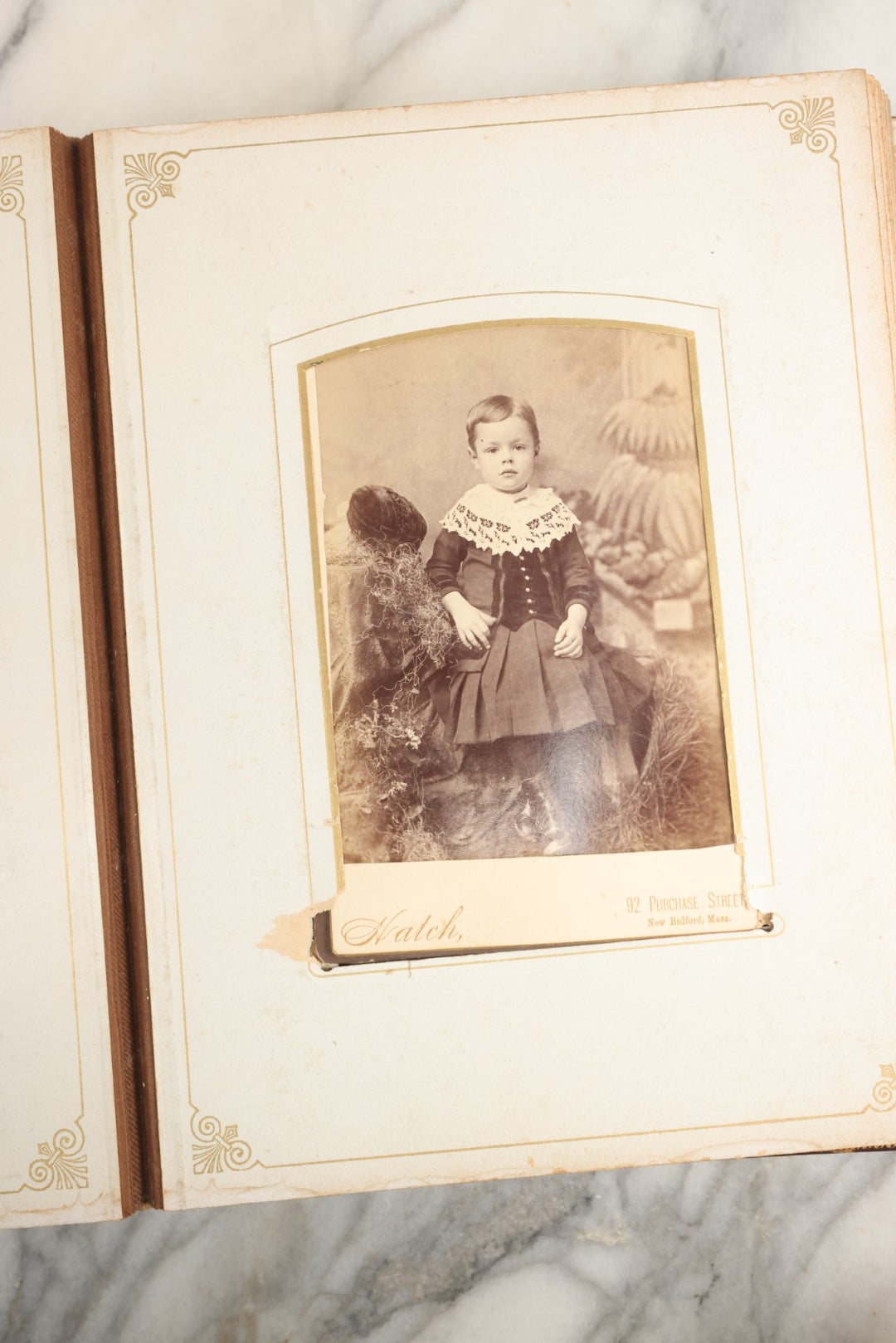 Lot 148 - Antique Cabinet Card Photo Album With Woman And Birds On Cover, Containing 25 Cabinet Cards And 12 Carte De Visite C.D.V. Photographs (All Pages Included In Pictures)