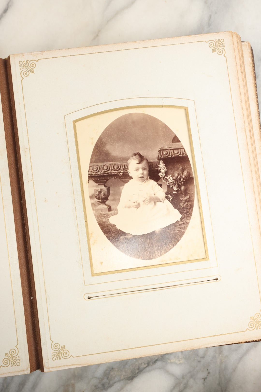 Lot 148 - Antique Cabinet Card Photo Album With Woman And Birds On Cover, Containing 25 Cabinet Cards And 12 Carte De Visite C.D.V. Photographs (All Pages Included In Pictures)