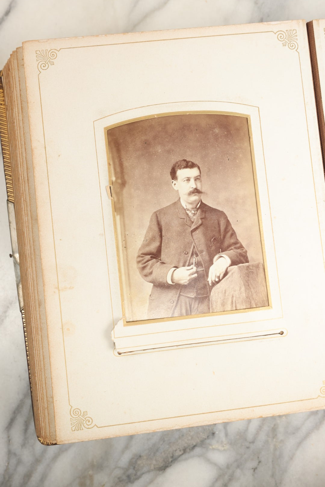 Lot 148 - Antique Cabinet Card Photo Album With Woman And Birds On Cover, Containing 25 Cabinet Cards And 12 Carte De Visite C.D.V. Photographs (All Pages Included In Pictures)