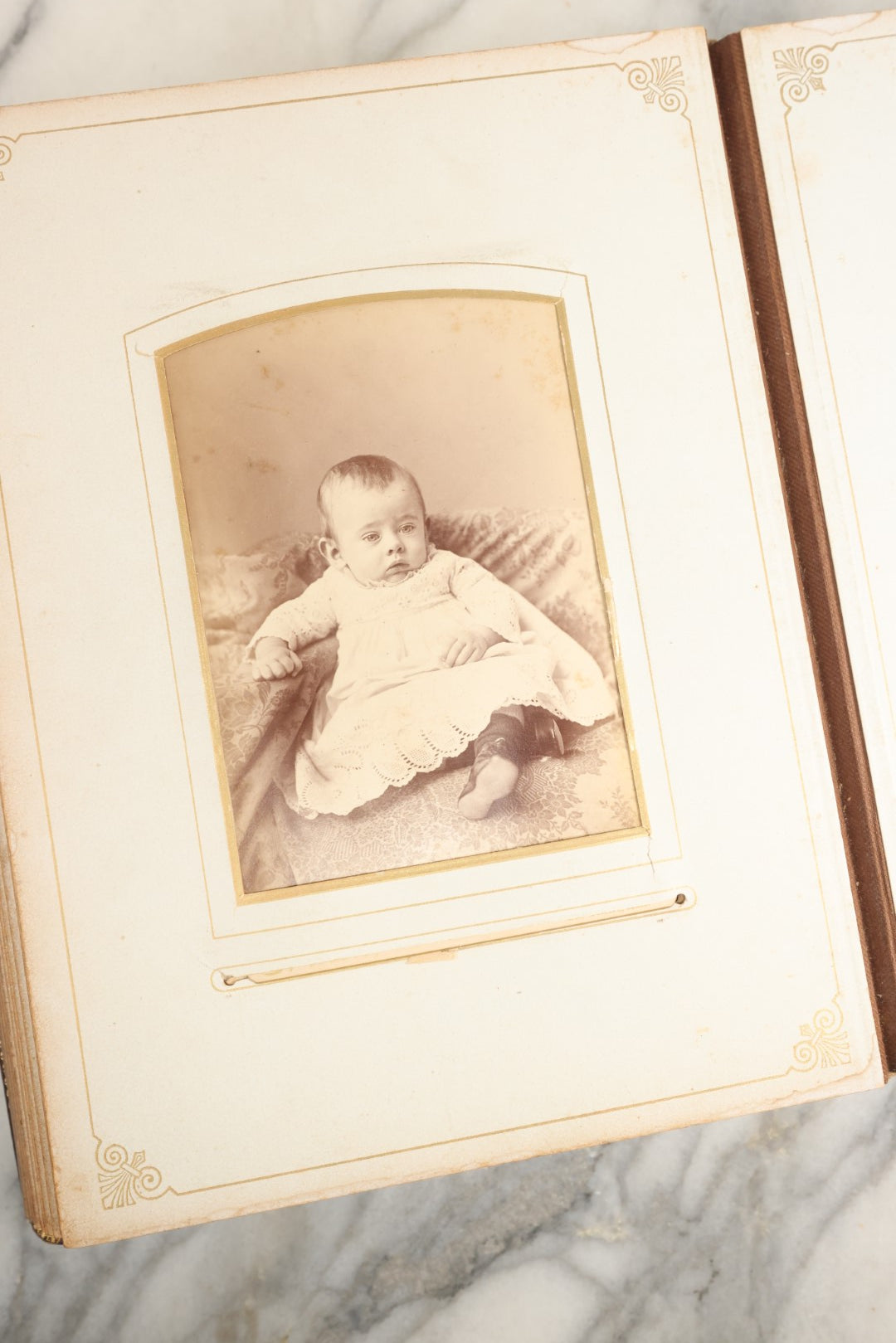 Lot 148 - Antique Cabinet Card Photo Album With Woman And Birds On Cover, Containing 25 Cabinet Cards And 12 Carte De Visite C.D.V. Photographs (All Pages Included In Pictures)