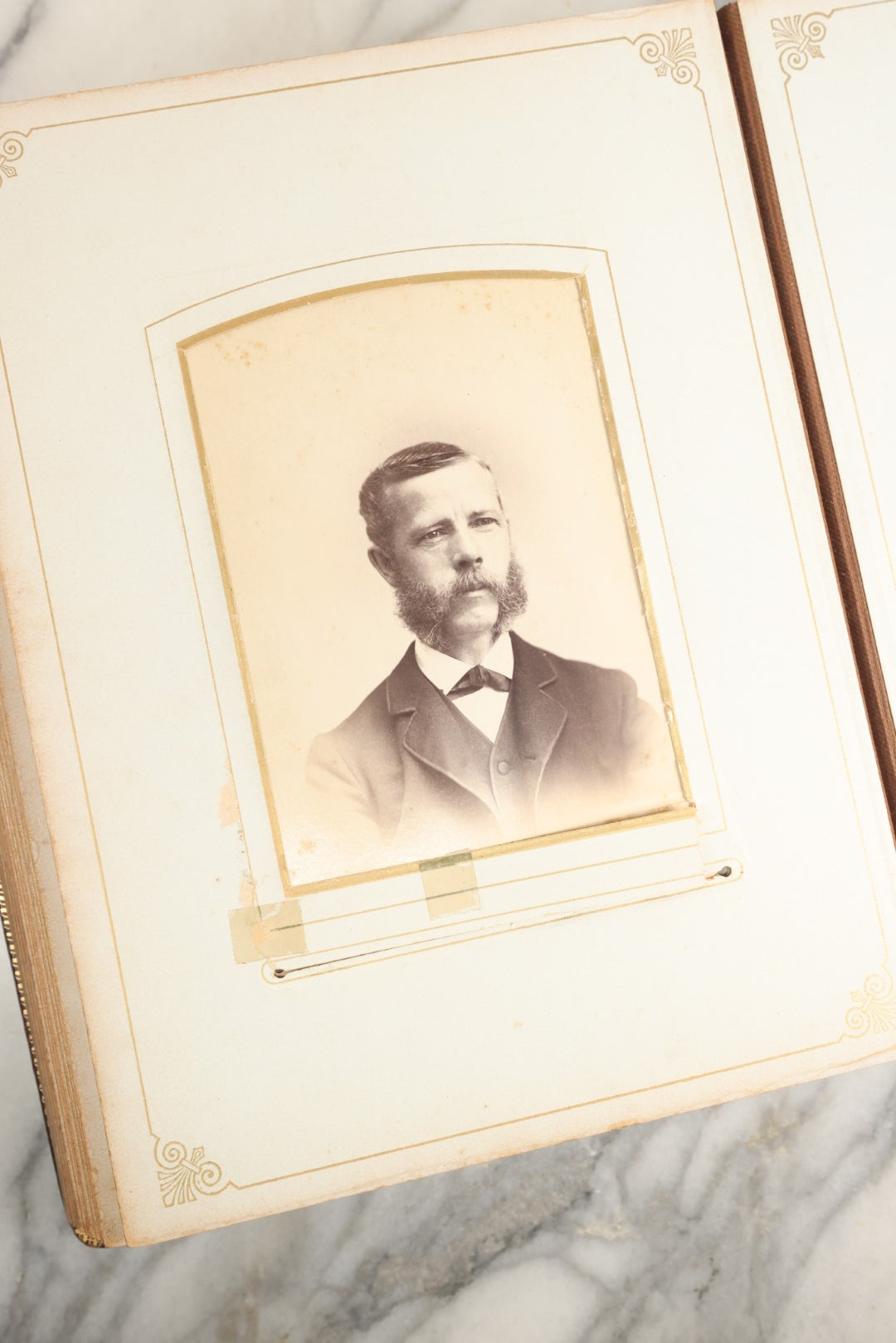 Lot 148 - Antique Cabinet Card Photo Album With Woman And Birds On Cover, Containing 25 Cabinet Cards And 12 Carte De Visite C.D.V. Photographs (All Pages Included In Pictures)