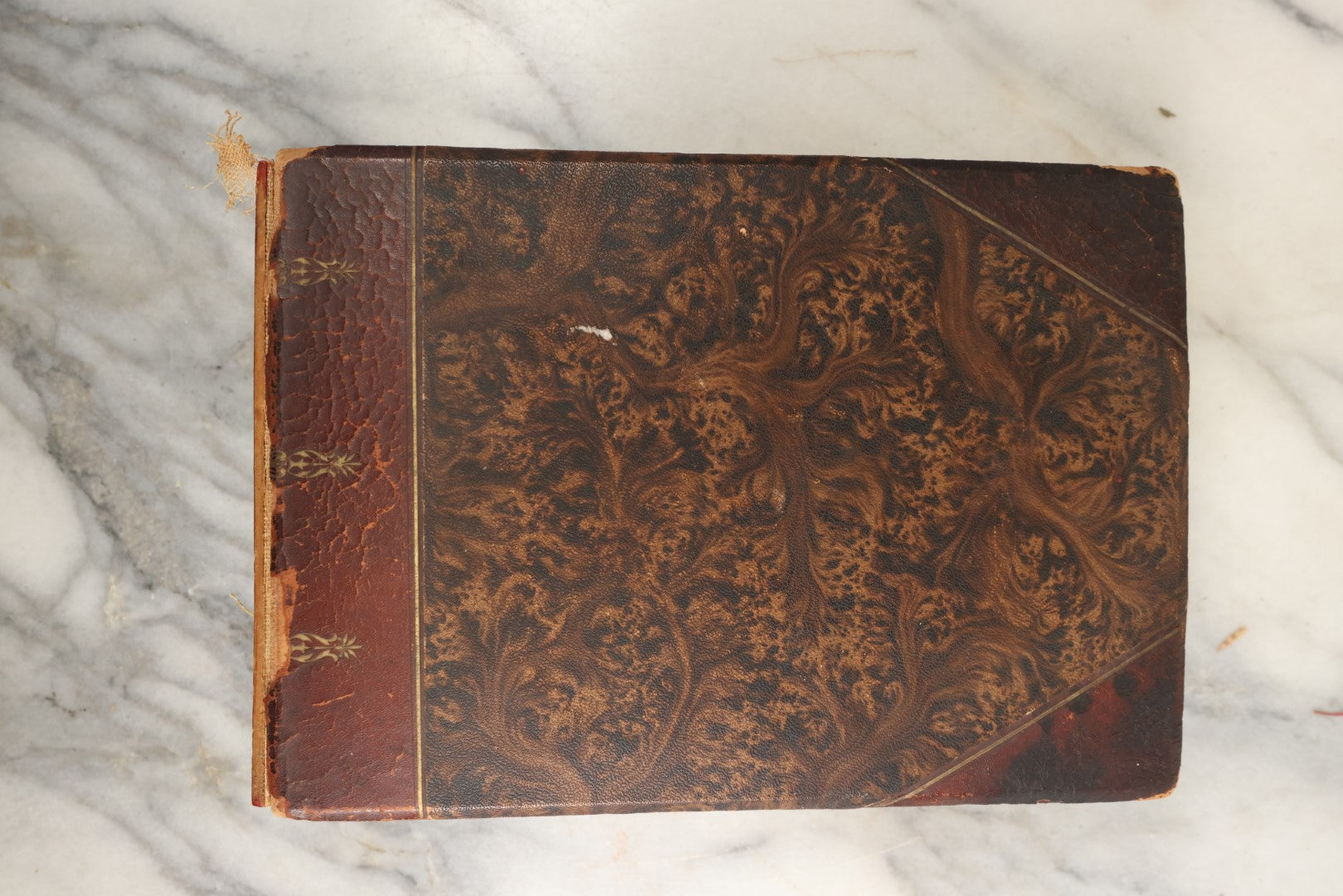 Lot 150 - Antique Late 19th Century Snapshot Travel Photo Album Of A Trip To Germany And Europe, Including Photos Aboard The Ss Kaiser Wilhelm Der Grosse, The Largest Ship In The World At The Time, 1898, 40+ Photos, Many Blank Pages (All Pages Included In Pictures)