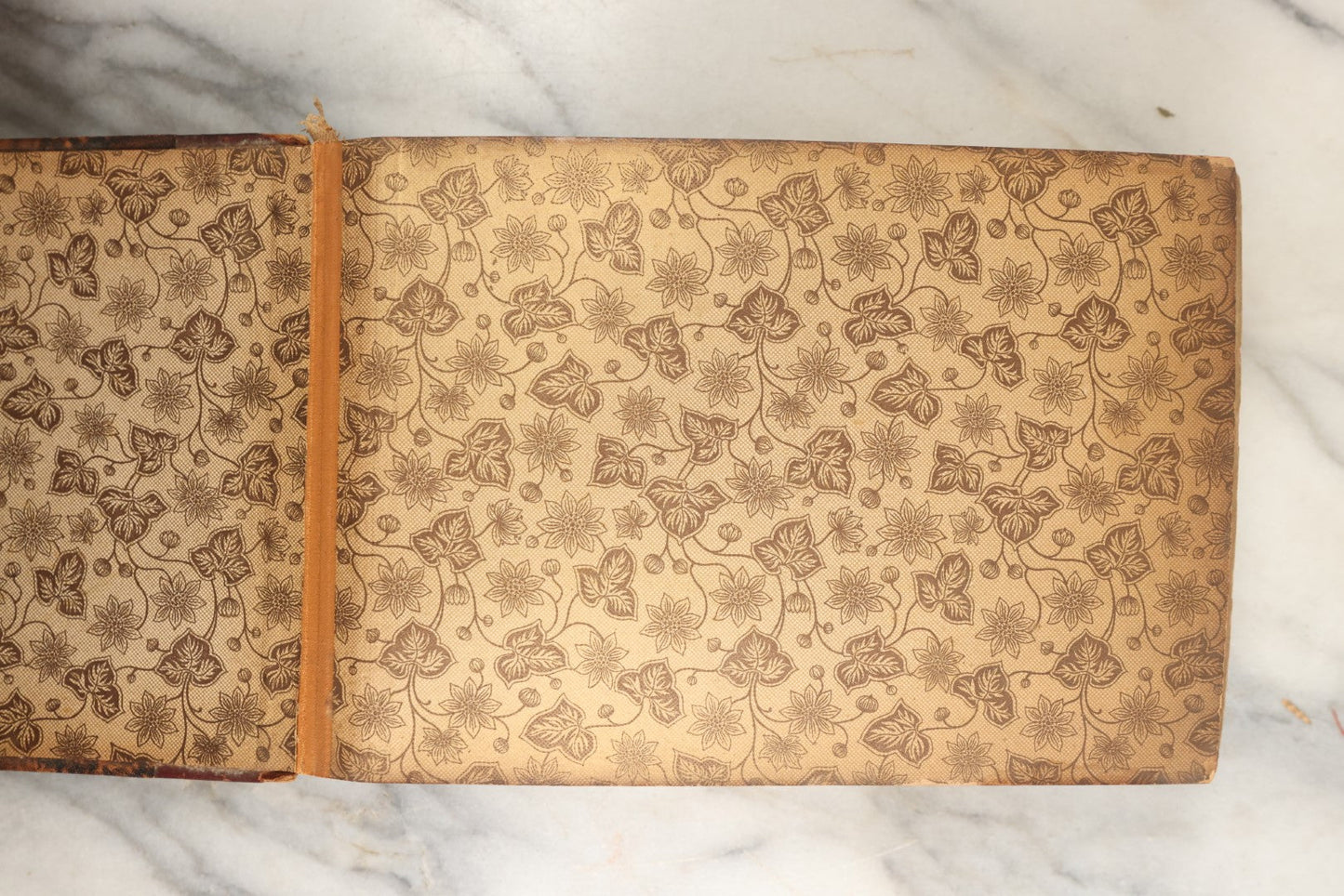Lot 150 - Antique Late 19th Century Snapshot Travel Photo Album Of A Trip To Germany And Europe, Including Photos Aboard The Ss Kaiser Wilhelm Der Grosse, The Largest Ship In The World At The Time, 1898, 40+ Photos, Many Blank Pages (All Pages Included In Pictures)