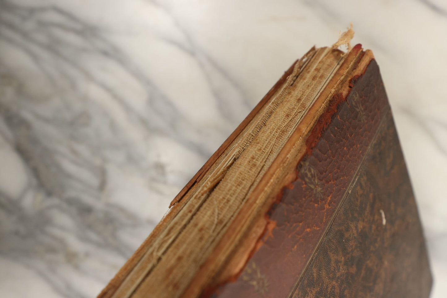 Lot 150 - Antique Late 19th Century Snapshot Travel Photo Album Of A Trip To Germany And Europe, Including Photos Aboard The Ss Kaiser Wilhelm Der Grosse, The Largest Ship In The World At The Time, 1898, 40+ Photos, Many Blank Pages (All Pages Included In Pictures)