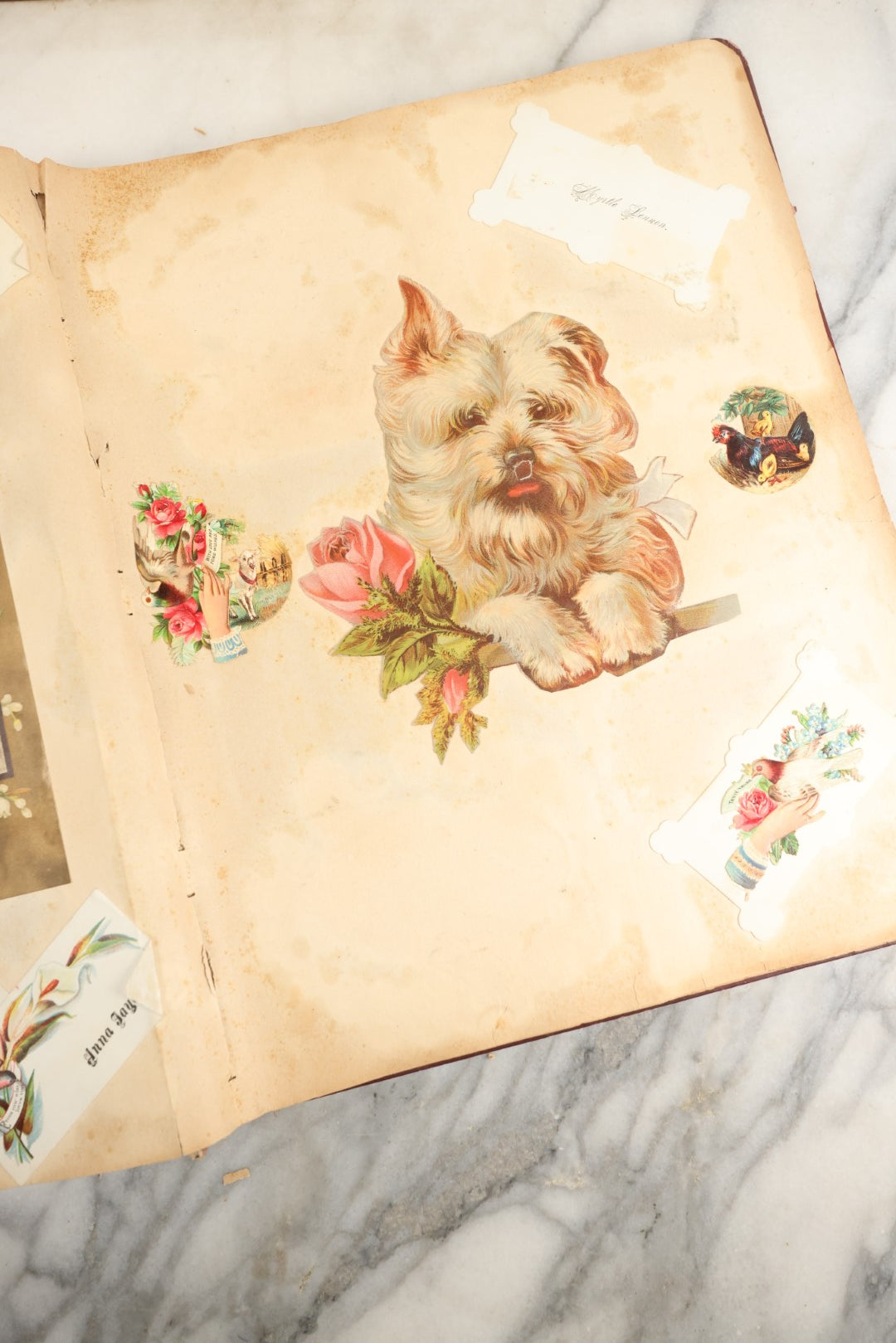 Lot 155 - Antique Victorian Scrapbook Album With Woman On Cover Containing 175+ Pieces Including Die Cuts, Trade Cards, Calling Cards, And More, With Woman On Cover, Note Cover Detached