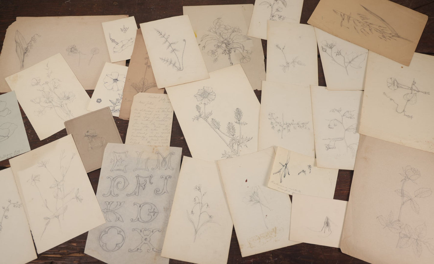 Lot 015 - Grouping Of 20+ Antique Original Hand Drawn Botanical Sketches Featuring Various Plants And Flowers, Some Dated Late 19th Century