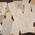 Lot 015 - Grouping Of 20+ Antique Original Hand Drawn Botanical Sketches Featuring Various Plants And Flowers, Some Dated Late 19th Century