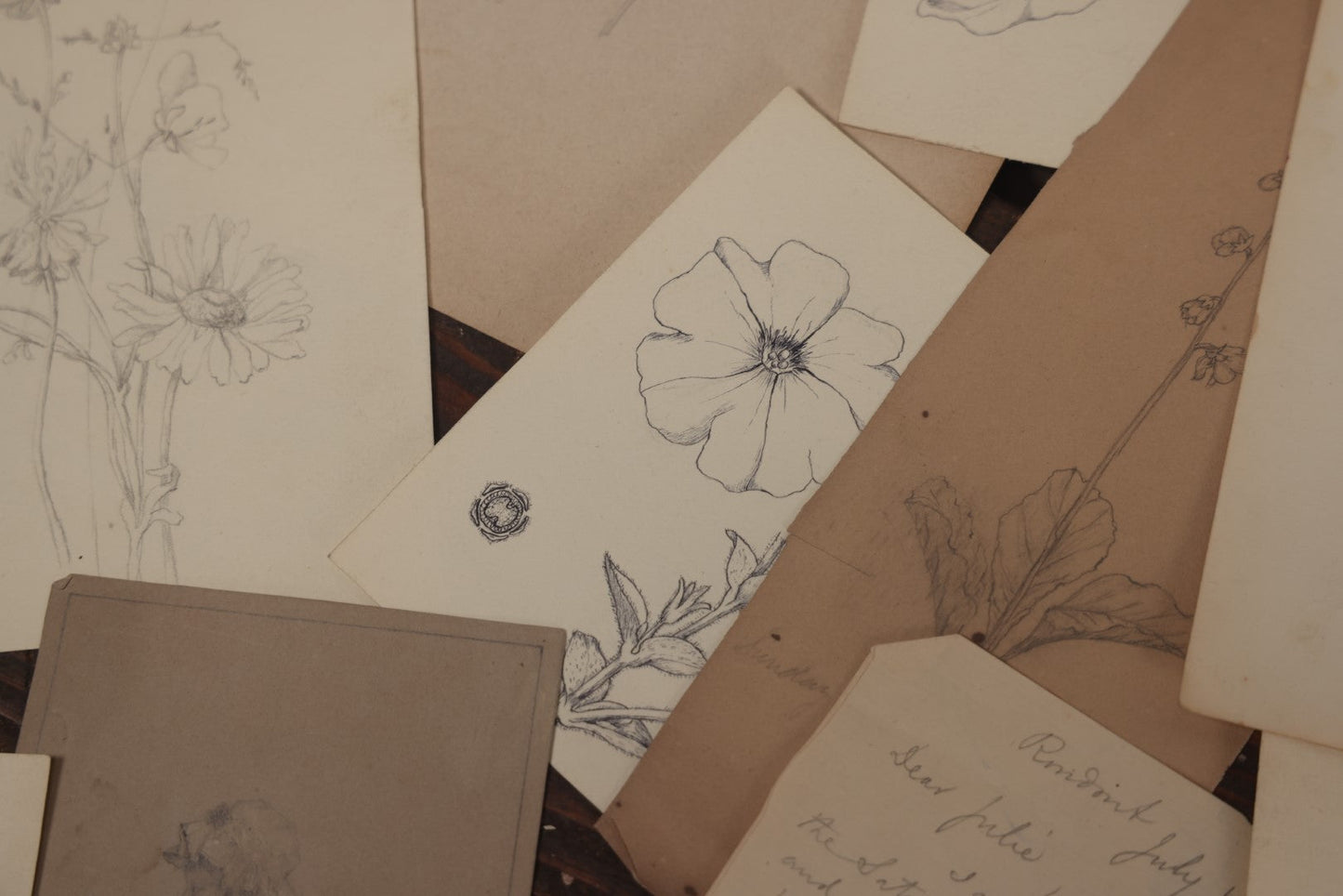 Lot 015 - Grouping Of 20+ Antique Original Hand Drawn Botanical Sketches Featuring Various Plants And Flowers, Some Dated Late 19th Century