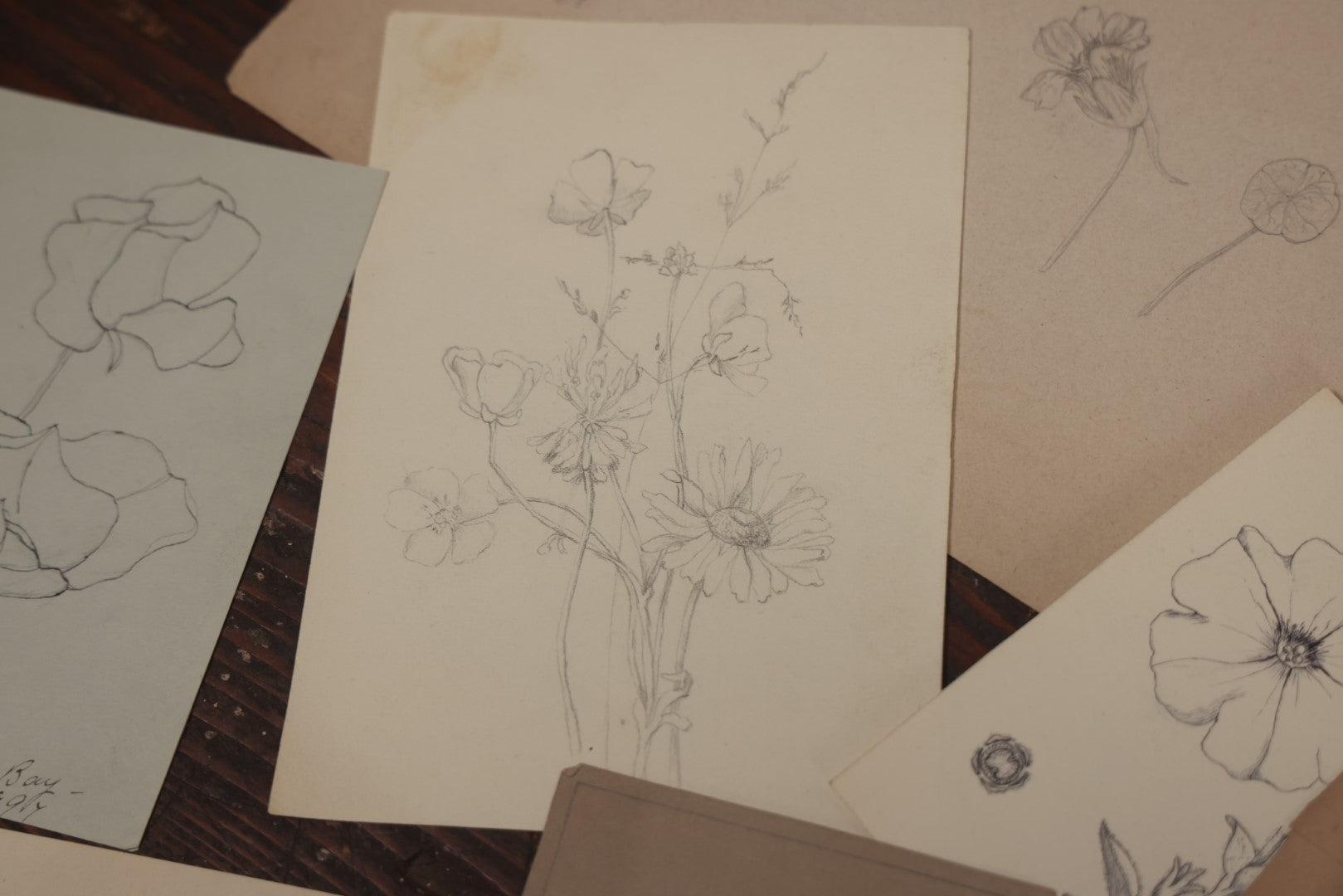 Lot 015 - Grouping Of 20+ Antique Original Hand Drawn Botanical Sketches Featuring Various Plants And Flowers, Some Dated Late 19th Century