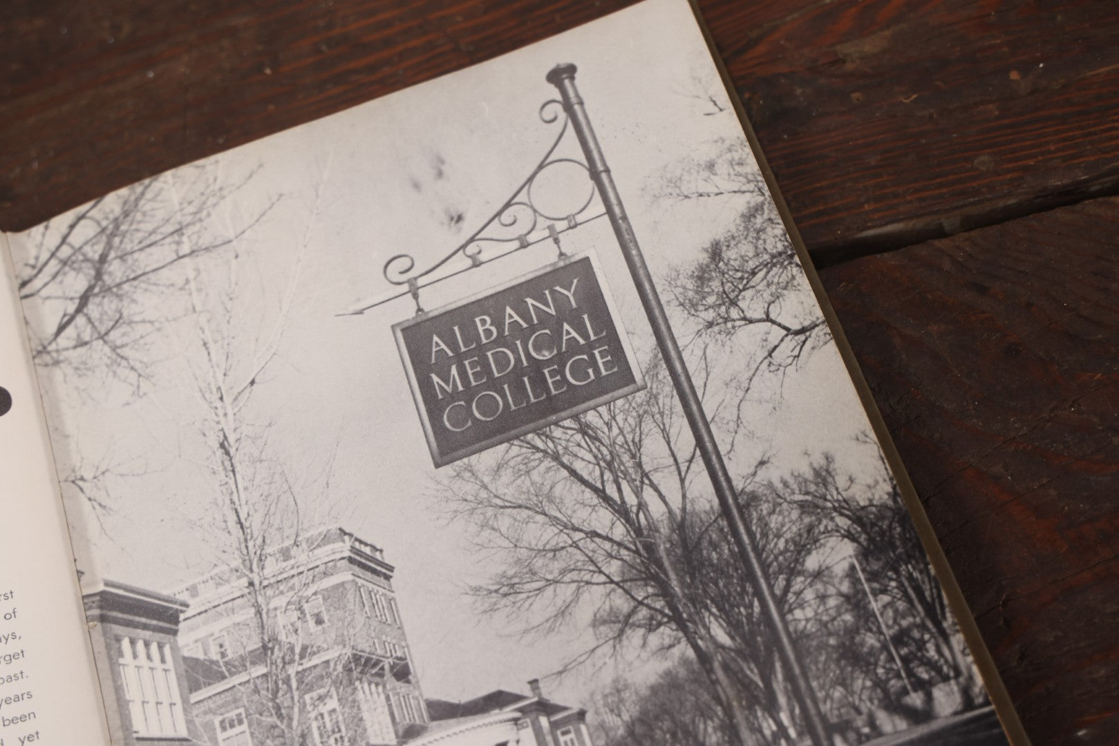 Lot 041 - The Skull 1950 Yearbook From Albany Medical College, Union University, Albany, New York, Skull On Cover, Interesting Medical Photos Inside