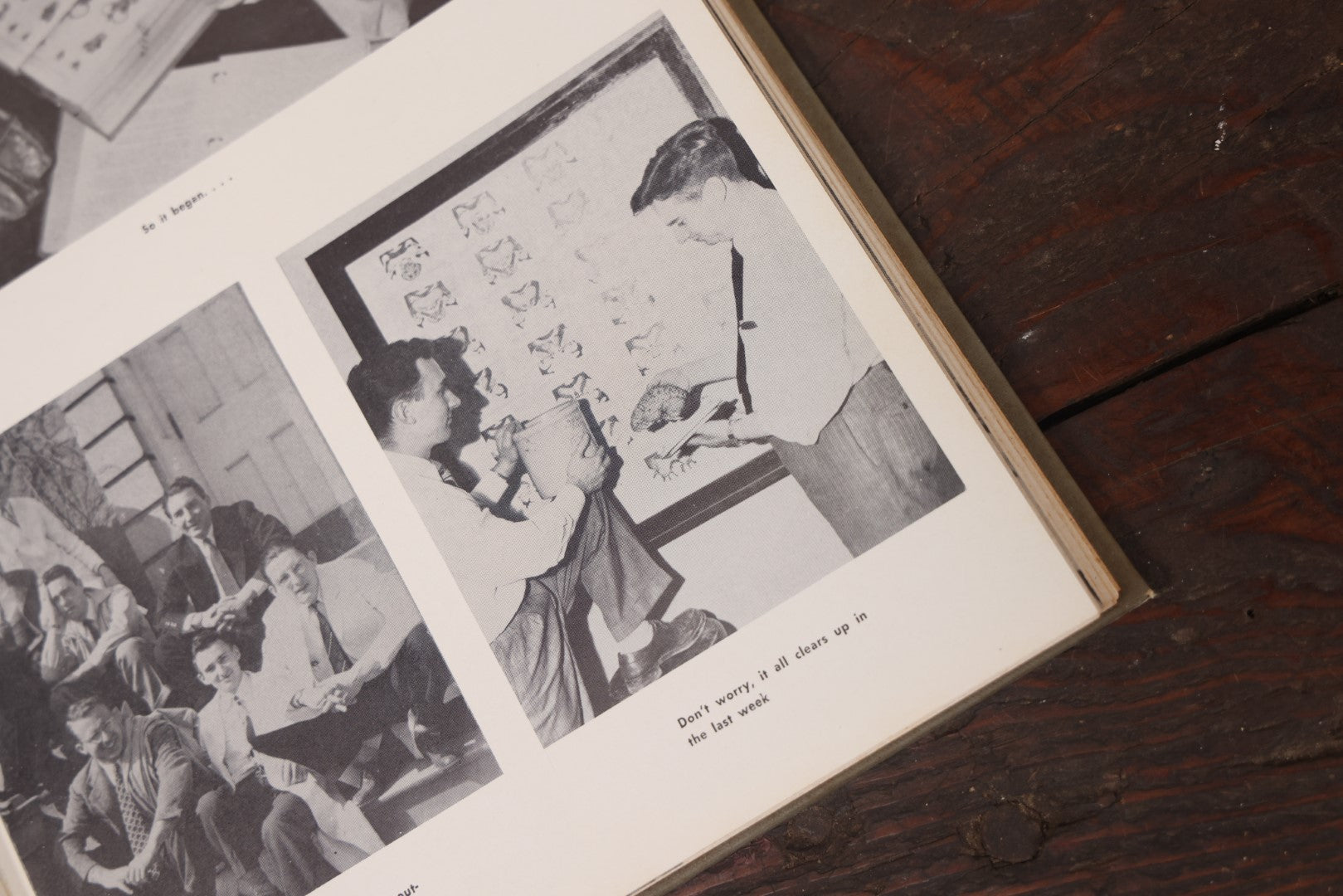 Lot 041 - The Skull 1950 Yearbook From Albany Medical College, Union University, Albany, New York, Skull On Cover, Interesting Medical Photos Inside