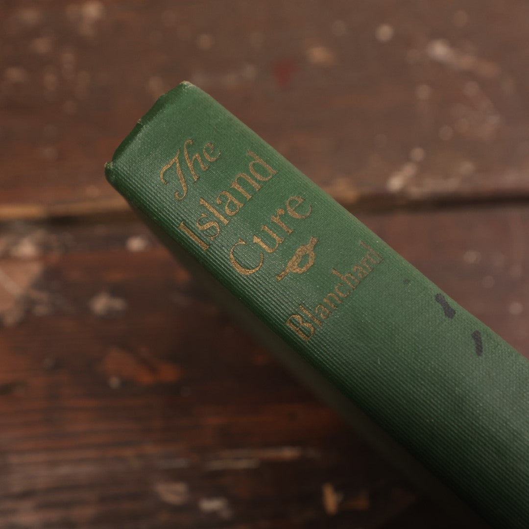 Lot 073 - "The Island Cure" Antique Novel By Grace Blanchard, Copyright 1922 By Lothrop, Lee & Shepherd Co., Illustrated