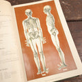 Lot 075 - "Prescriptions And How To Use Them: An Anatomical And Physiological Treatise On The Human Body With Practical Descriptions Of Its Diseases, Their Symptoms And Treatment" Antique Book, Volume I, 1892, Illustrated