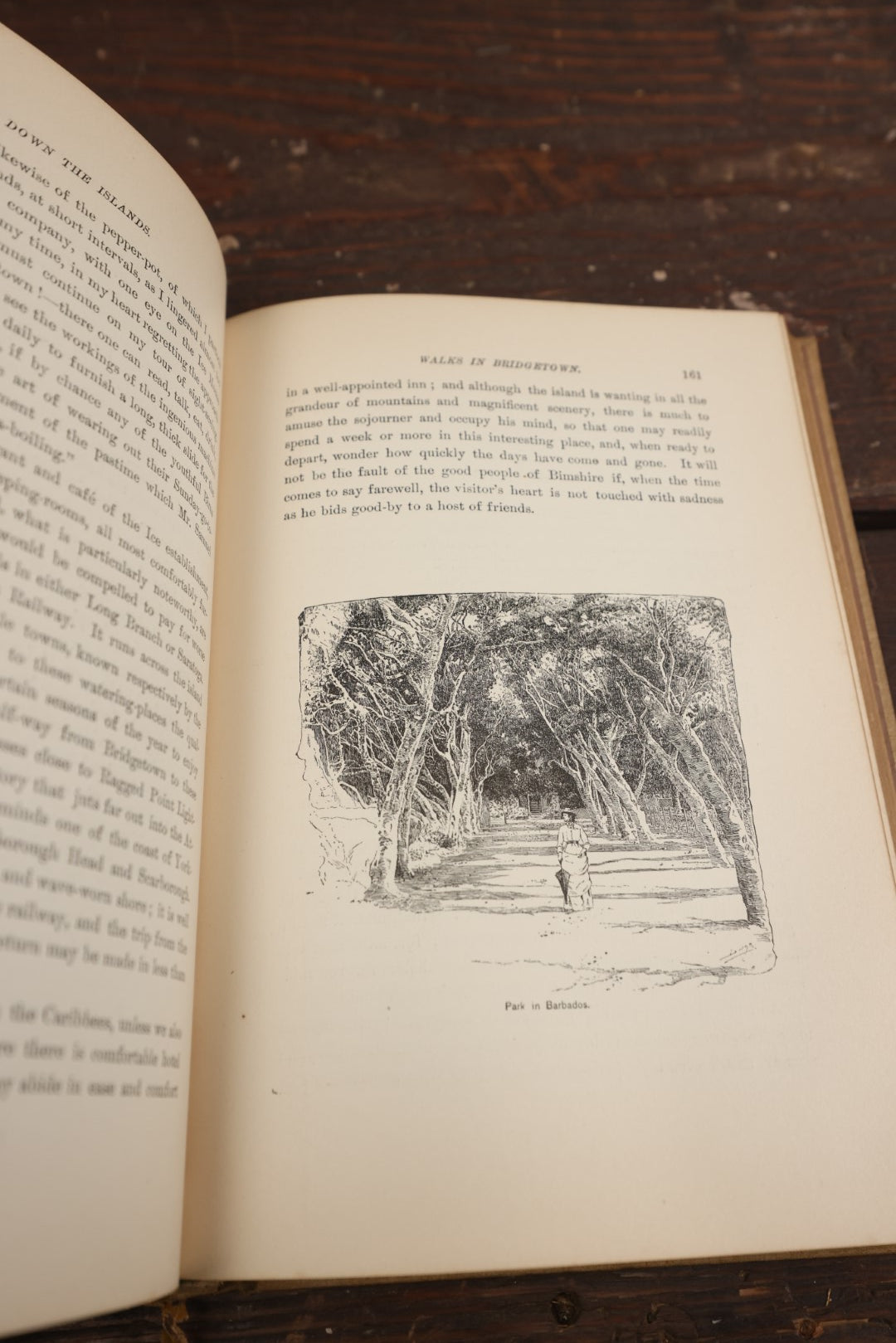 Lot 076 - "Down The Islands: A Voyage To The Caribbees" Antique Book By William Agnew Paton, Copyright 1887 By Charles Scribner's Sons, New York, Illustrated