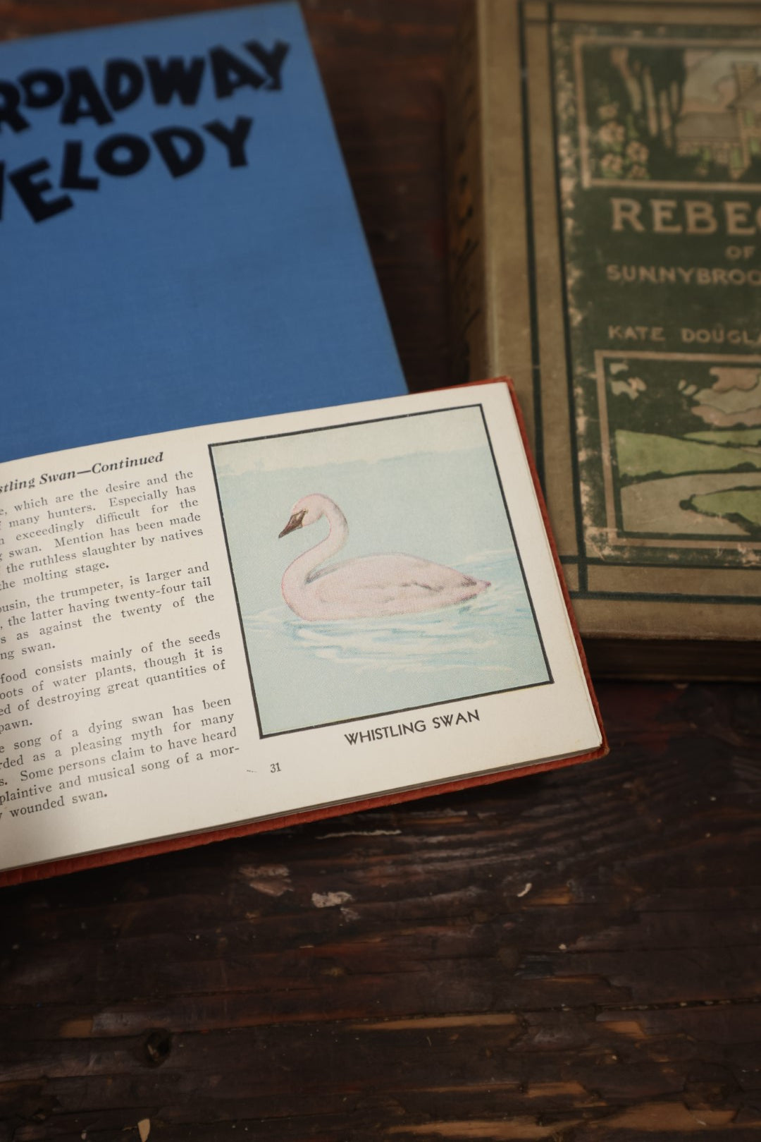 Lot 080 - Grouping Of Three Antique And Vintage Books Including The Broadway Melody, The Red Book Of Birds Of America, And Rebecca Of Sunnybrook Farm