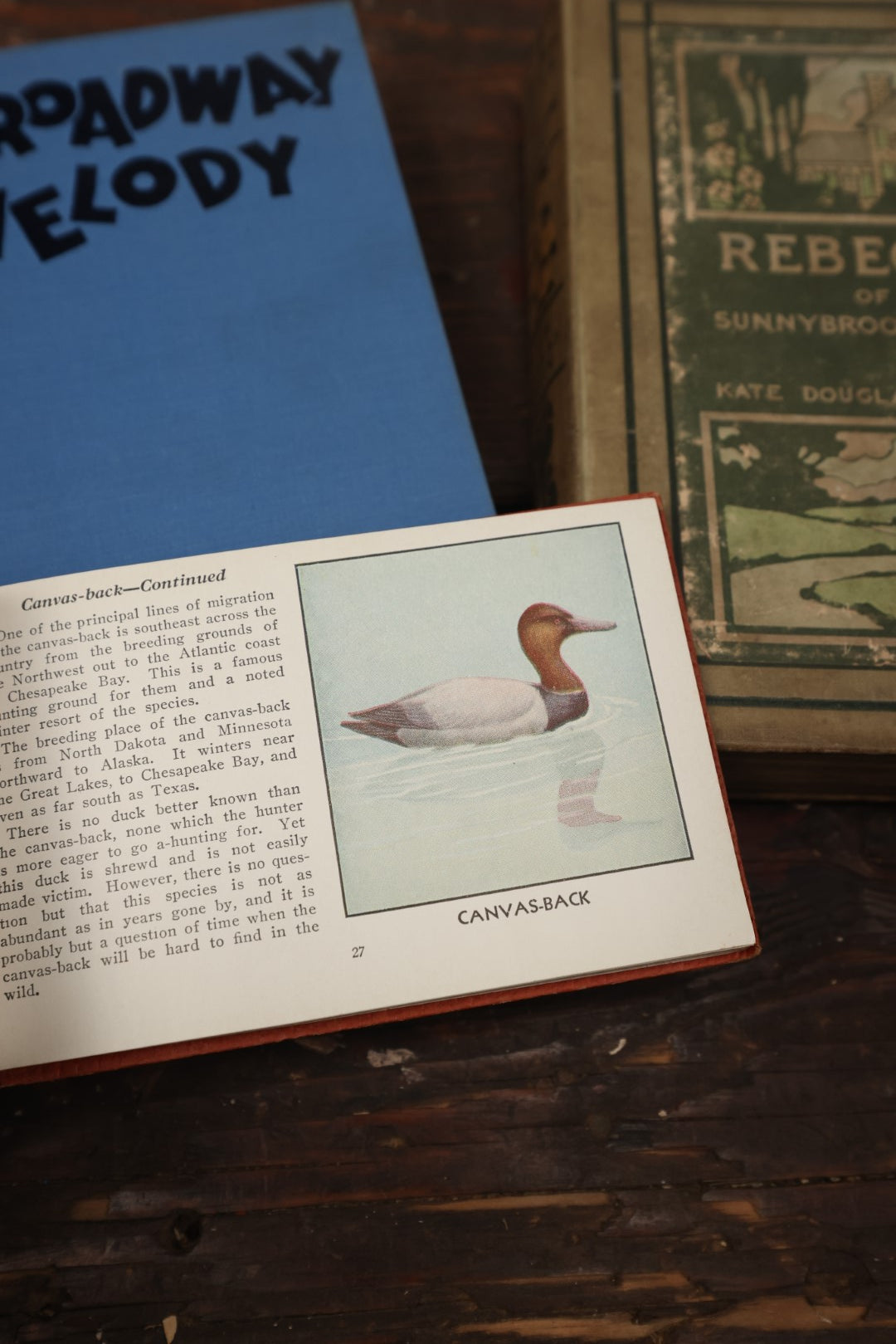 Lot 080 - Grouping Of Three Antique And Vintage Books Including The Broadway Melody, The Red Book Of Birds Of America, And Rebecca Of Sunnybrook Farm