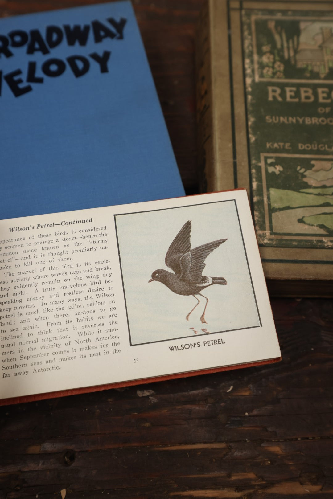 Lot 080 - Grouping Of Three Antique And Vintage Books Including The Broadway Melody, The Red Book Of Birds Of America, And Rebecca Of Sunnybrook Farm