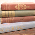 Lot 081 - Grouping Of Four Antique Books Including Pan Michael, Waste-Land Wanderings, Days Out Of Doors, And Old Rose & Silver