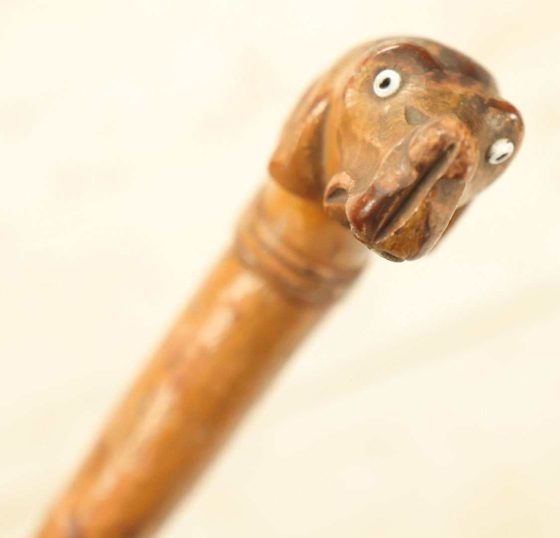 Lot 006 - Antique Carved Wooden Dog Head Umbrella Handle Cane With Glass Eyes, No Umbrella, Usable As Cane, 37" Long