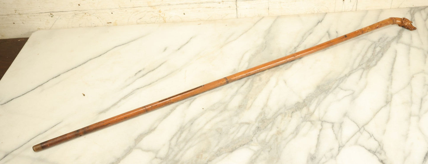 Lot 006 - Antique Carved Wooden Dog Head Umbrella Handle Cane With Glass Eyes, No Umbrella, Usable As Cane, 37" Long