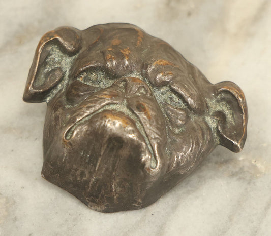 Lot 015 - Antique English Bulldog Dog Head Brooch Pin