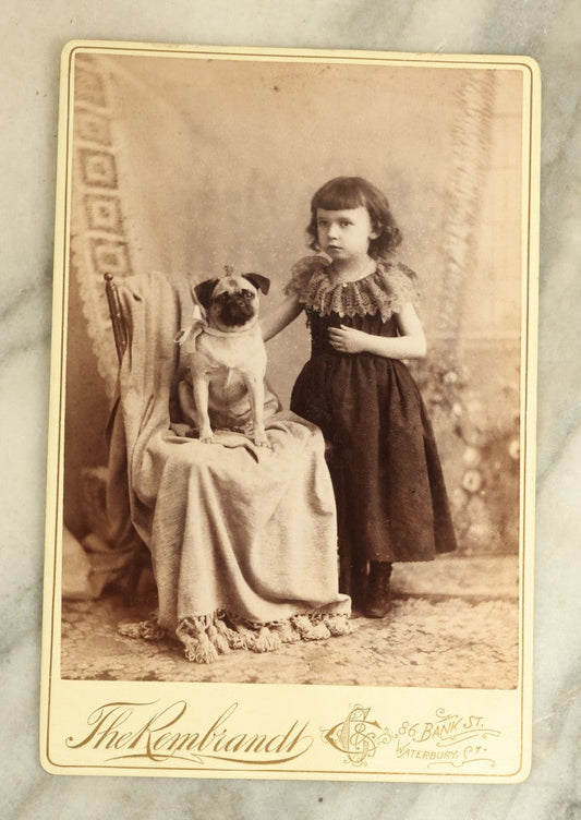 Lot 065 - Antique Cabinet Card Photograph Of A Little Girl And Her Pug Dog, Sitting On Chair, Crane And Collyer Photographers, Waterbury, Connecticut