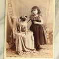 Lot 065 - Antique Cabinet Card Photograph Of A Little Girl And Her Pug Dog, Sitting On Chair, Crane And Collyer Photographers, Waterbury, Connecticut