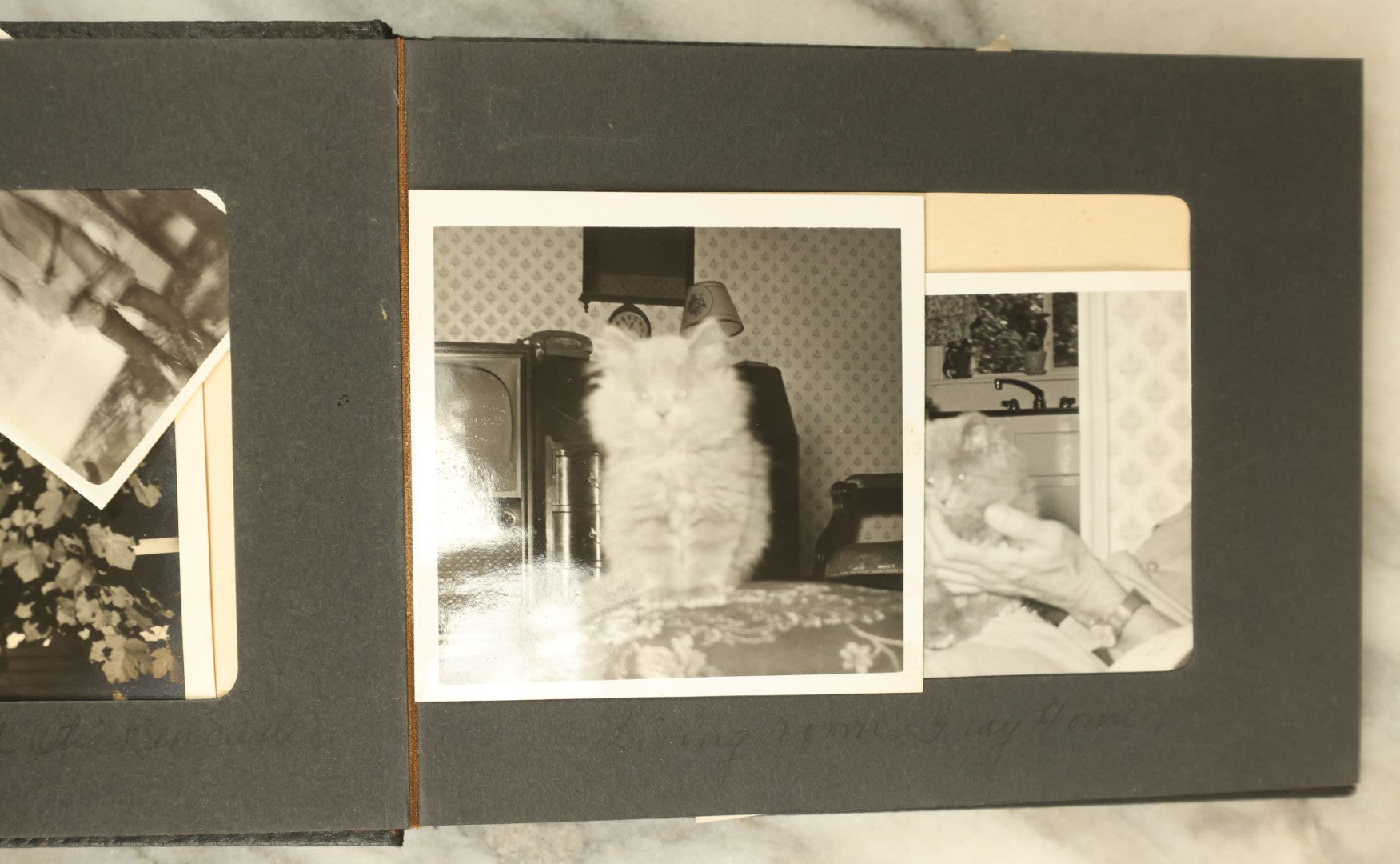 Lot 110 - Vintage Snapshot Photo Album With Dozens Of Photos, Including Cats, Stonehenge, Soldiers, May Day, And More