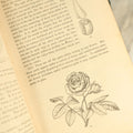 Lot 122 - "Gray's Lessons In Botany And Vegetable Physiology" Antique Book By Asa Gray, Illustrated, Published 1881