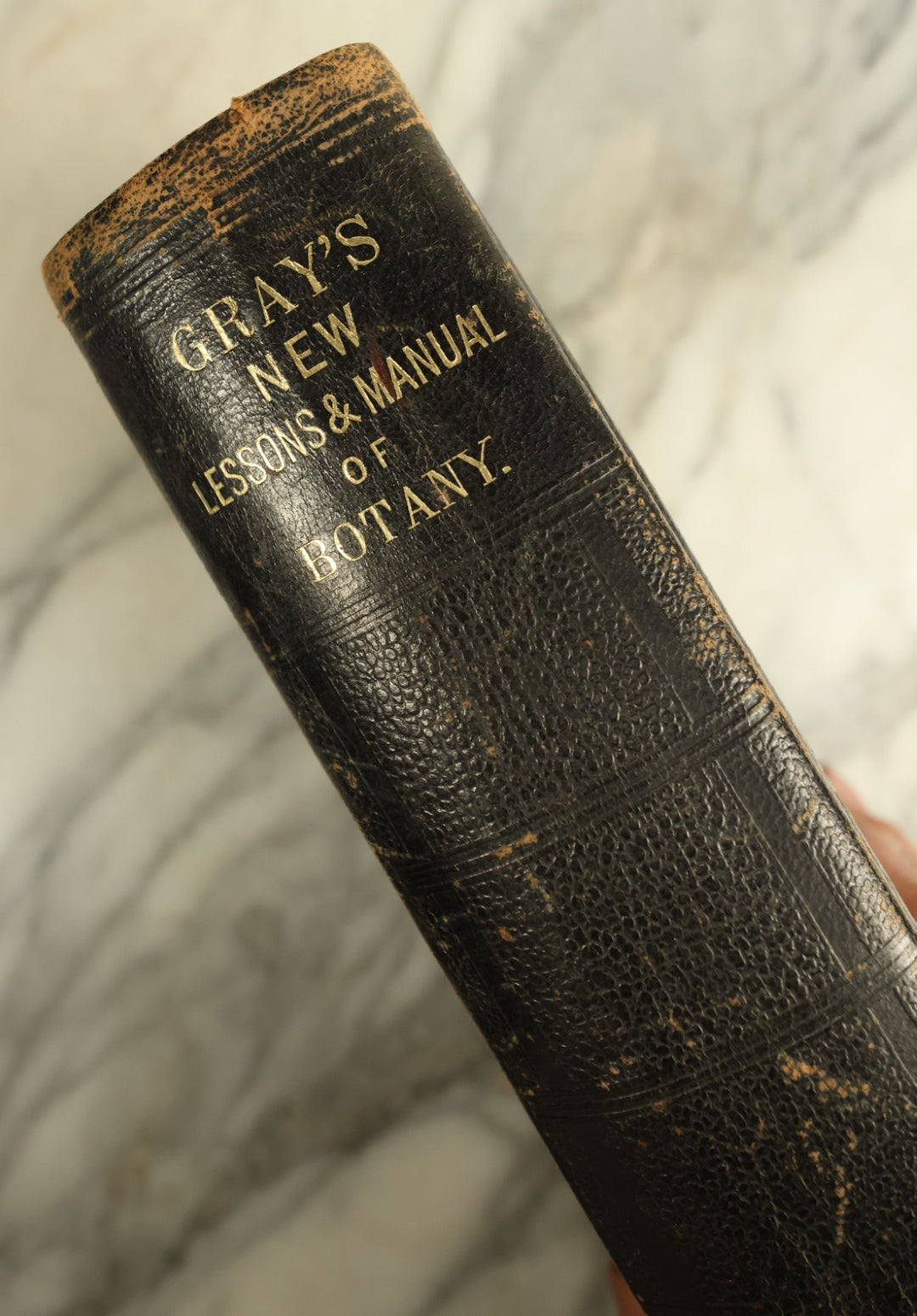 Lot 122 - "Gray's Lessons In Botany And Vegetable Physiology" Antique Book By Asa Gray, Illustrated, Published 1881