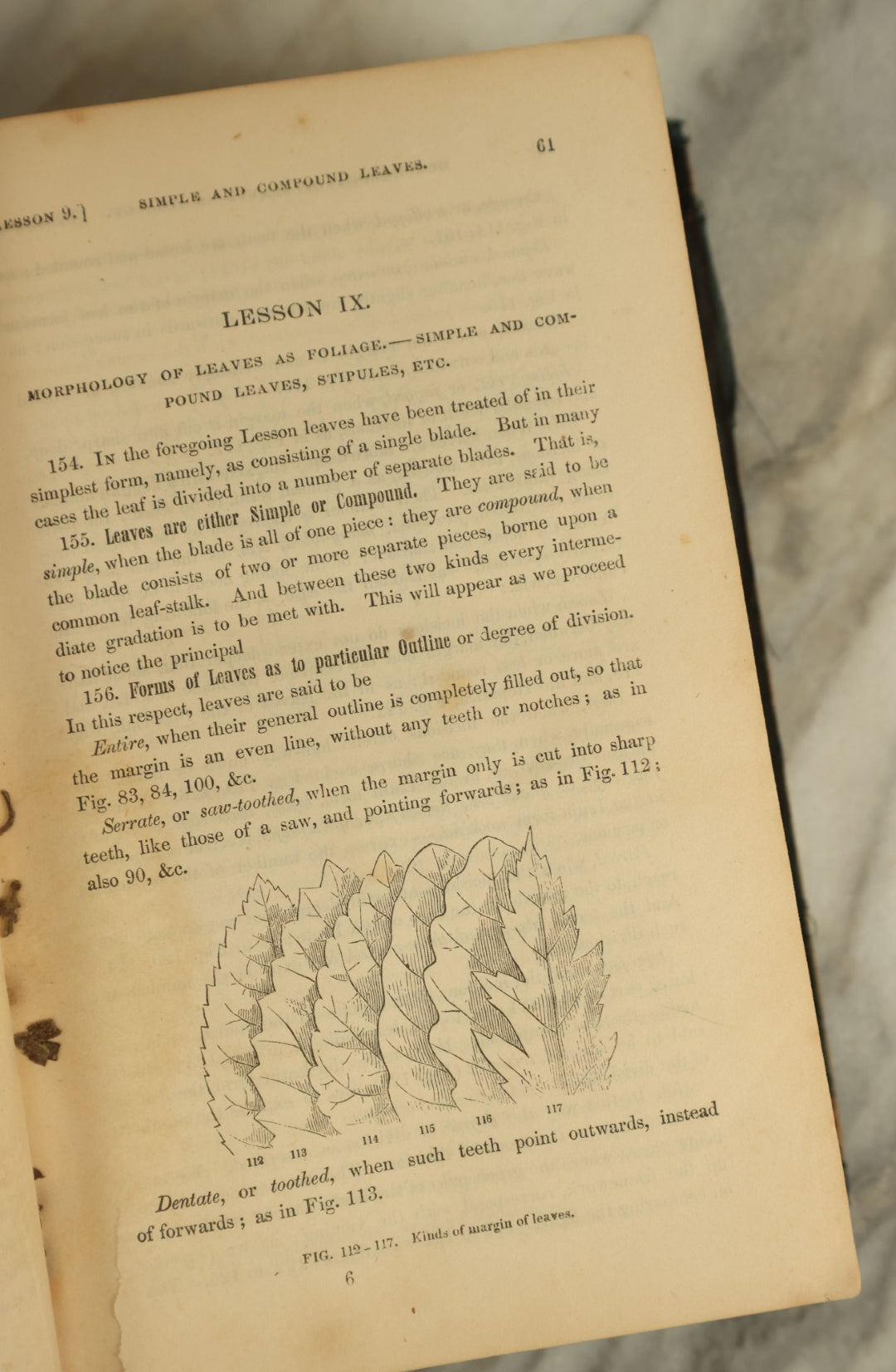 Lot 122 - "Gray's Lessons In Botany And Vegetable Physiology" Antique Book By Asa Gray, Illustrated, Published 1881