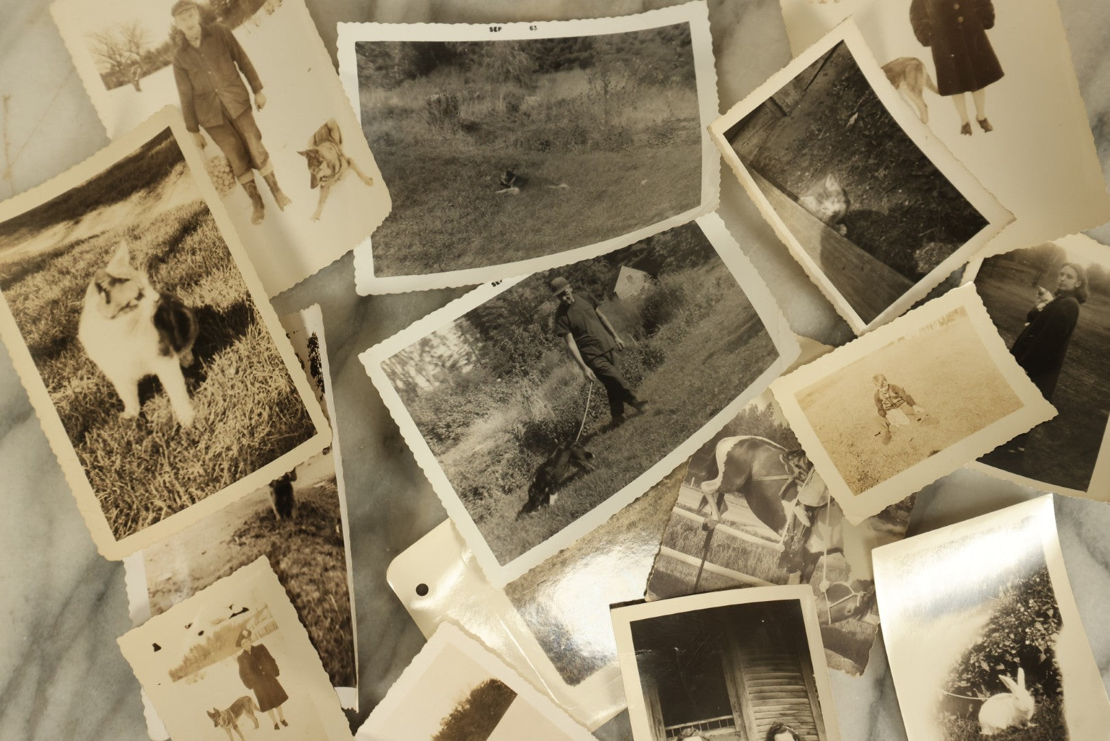 Lot 140 - Grouping Of 15+ Vintage Snapshot Photographs Of People And Their Pets, Including Cats, Dogs, A Bunny, And Turkeys