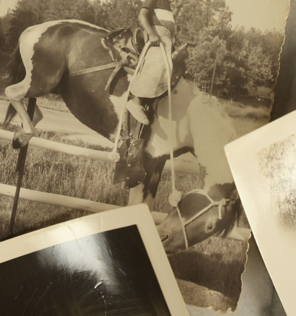 Lot 140 - Grouping Of 15+ Vintage Snapshot Photographs Of People And Their Pets, Including Cats, Dogs, A Bunny, And Turkeys