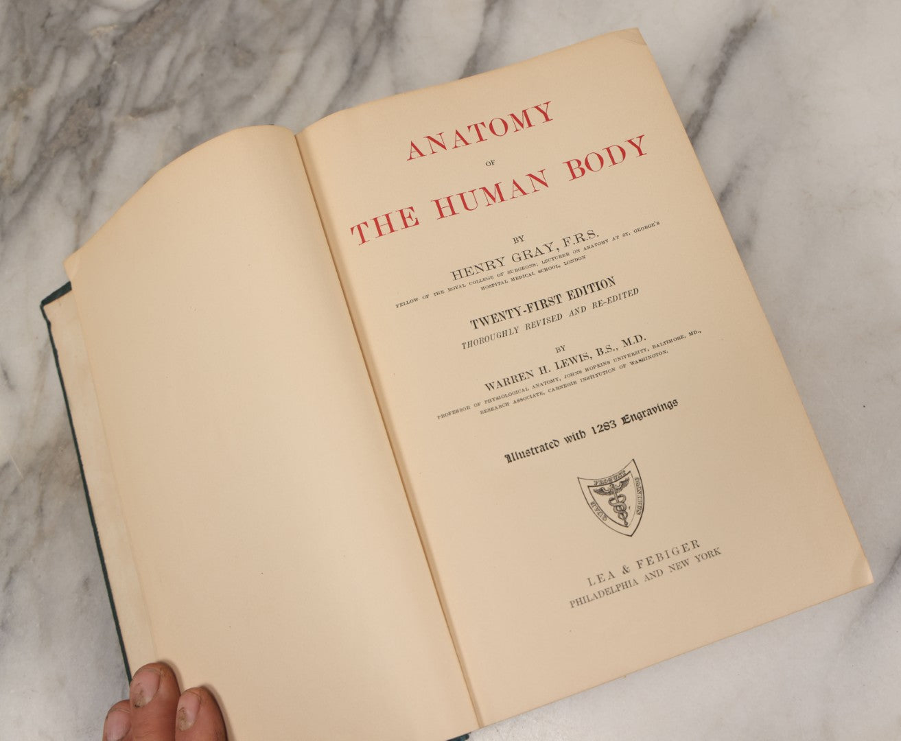 Lot 010 - "Anatomy Of The Human Body" Antique Book By Henry Gray (A.K.A. Gray's Anatomy), Twenty-First Edition, Illustrated With 1283 Engravings, Lea & Febiger Publishers, 1924