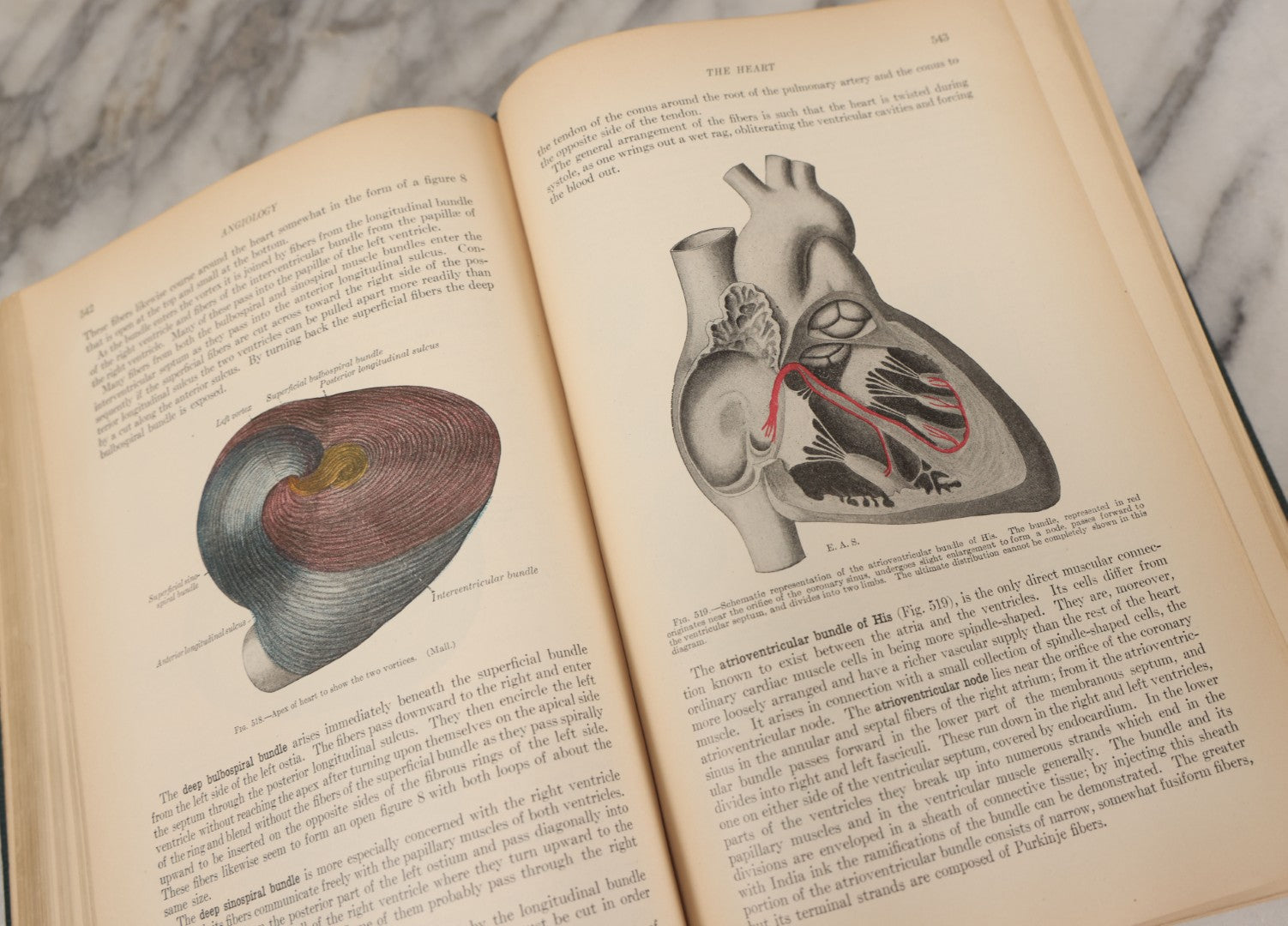 Lot 010 - "Anatomy Of The Human Body" Antique Book By Henry Gray (A.K.A. Gray's Anatomy), Twenty-First Edition, Illustrated With 1283 Engravings, Lea & Febiger Publishers, 1924