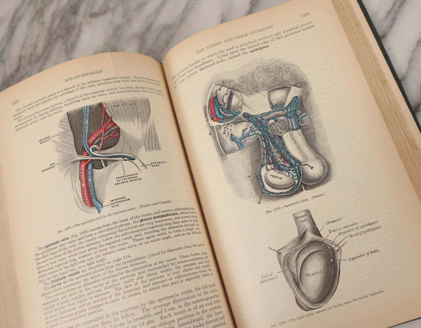 Lot 010 - "Anatomy Of The Human Body" Antique Book By Henry Gray (A.K.A. Gray's Anatomy), Twenty-First Edition, Illustrated With 1283 Engravings, Lea & Febiger Publishers, 1924