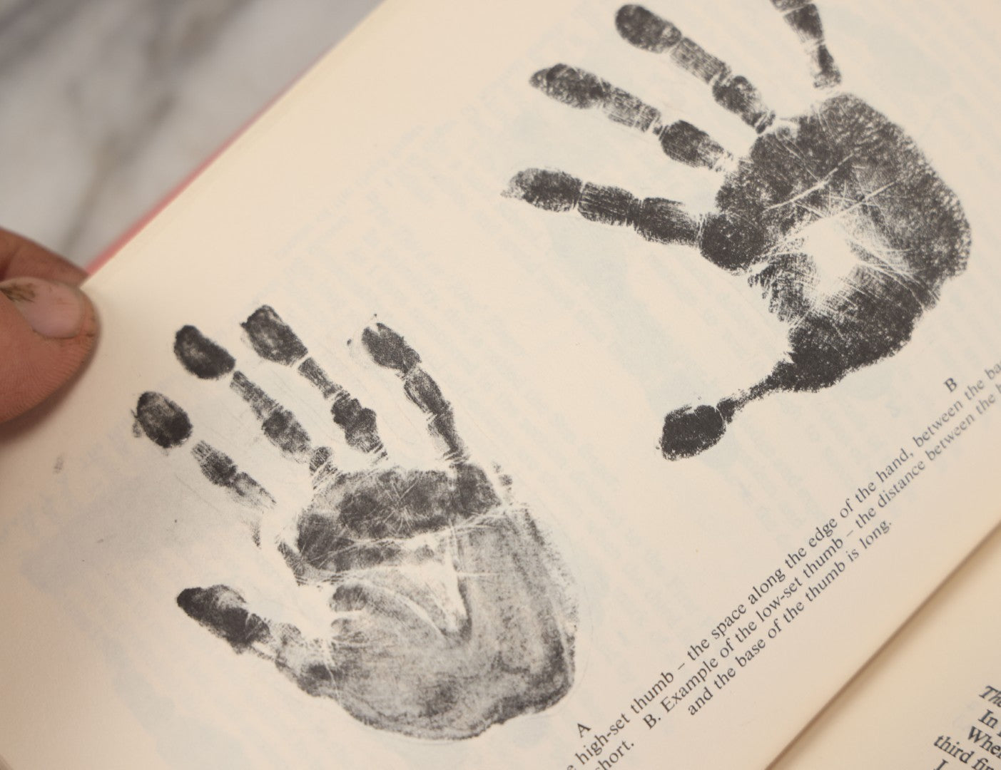 Lot 013 - "What Your Hands Reveal" Vintage Palmistry Book By Jo Sheridan, Bell Publishing Company, 1863, Illustrated